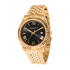 Pierre Cardin Watches / ساعات بيير كاردان